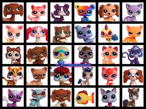 I would personally never buy directly from China. . Littlest pet shop rare